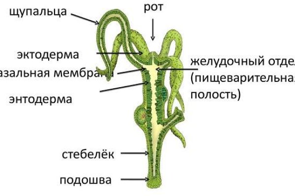 Кракен ссылка на сайт